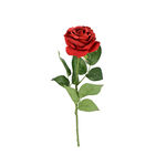 Artificial Flower Rose Red image number 0