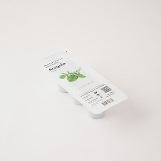 Click & grow seeds arugula