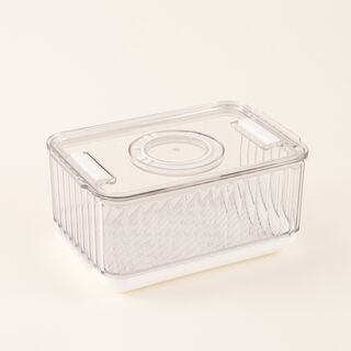 Alberto Food Storage Container 18.5*12.5*9Cm