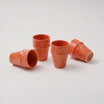Dallaty Moroccan Tea Cup Dark Orange, 6 Pieces image number 3