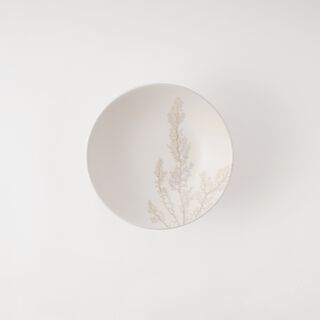 Rio marine 20pcs porcelain dinner set