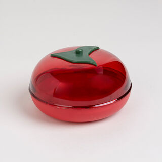 Plastic tomato saver