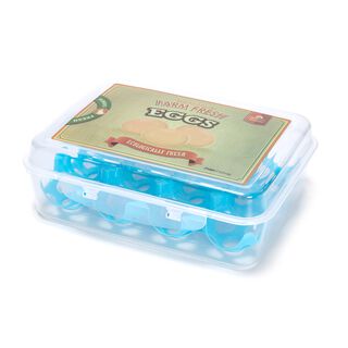 Alberto Plastic Egg Case 