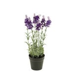 Homez indoor artificial lavender bush in pot, purple, 28cm image number 0