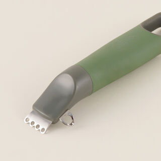 Alberto Stainless Steel Grater With Plastic Handle, Green / Silver, 18.5 Cm