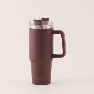 Dallaty Stainless Steel Thermo Bottle, Brown 600 Ml