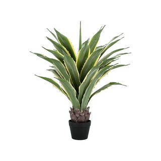 Artificial Tequila Tree 70*90 cm