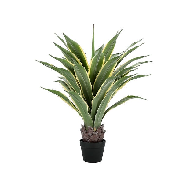 Artificial Tequila Tree 70*90 cm image number 1