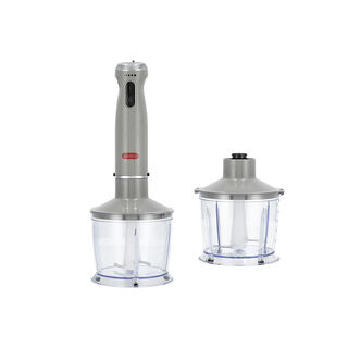 Alberto Stainless steel 1000W 4 in 1 hand blender