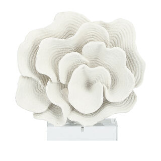 Home Accent Resin Coral With Acrylic Base 27*10*30.5 cm