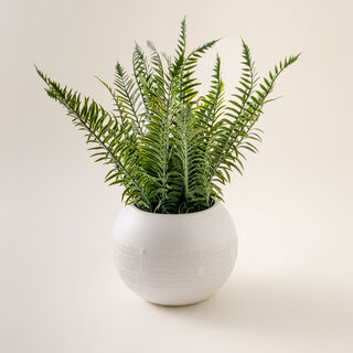 Homez Artificial Plant In White Ceramic Pot 44.45*44.45*43.18Cm