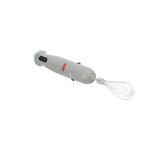 Alberto Stainless steel 1000W 4 in 1 hand blender image number 5