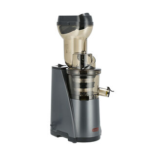 Alberto Cold Press Slow Juicer 240W