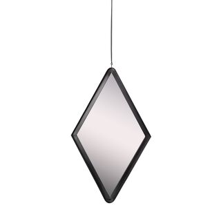 Iron Wall Mirror Special Shape, Black Powder Black 