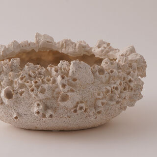 Homez Resin Decor Bowl, Beige 31.5*28.5*13.2 Cm