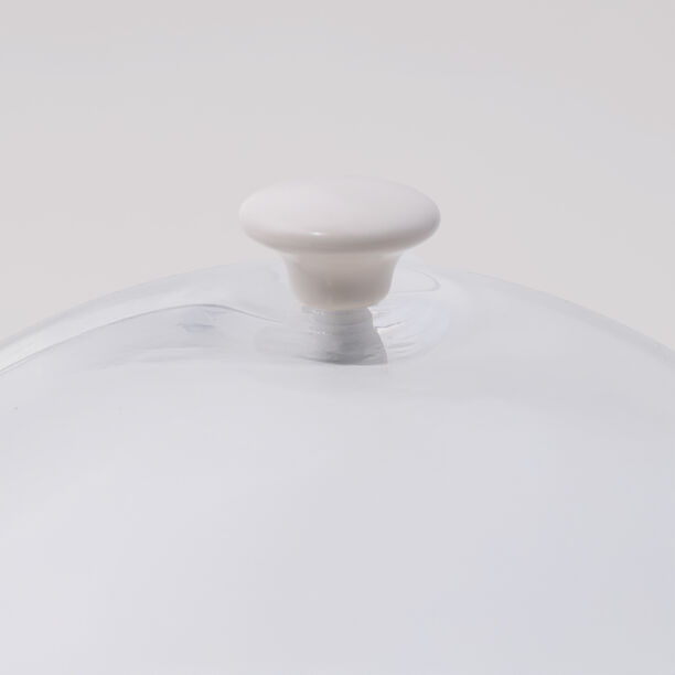 La Mesa Porcelain Serving Plate with Glass Lid 25*25*3 cm image number 1