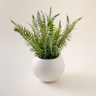 Homez Artificial Plant In White Ceramic Pot 44.45*44.45*43.18Cm