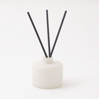 Homez 100 ml glass diffuser with oil and reed