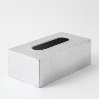 Homez aluminium tissue box, silver 22*12*8 cm