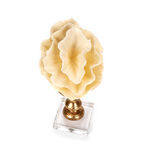 Home Accent Coral Cream And Gold image number 3