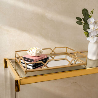 Mirror Tray Metal