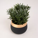 Artificial Plant Succulent In Cement Pot Green image number 2