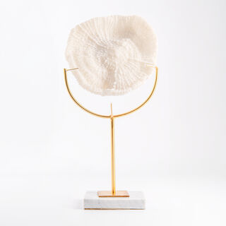 Coral with marbel base