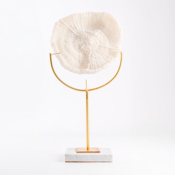 Coral with marbel base image number 0