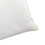 GOLDEN PIPED PILLOW 1000 gr image number 2