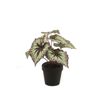Homez indoor artificial begonia leaves bush in black pot, 26*25cm