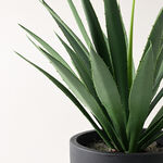 Homez artificial plant in black pot image number 1