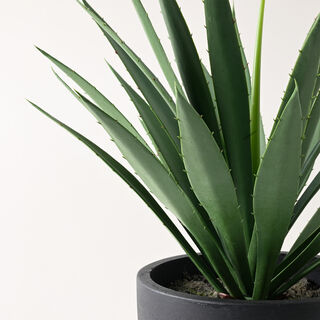 Homez artificial plant in black pot