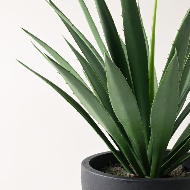 Homez artificial plant in black pot image number 1