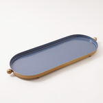 Dallaty steel tray, gold 51*17*3cm image number 0