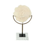 Home Accent Coral image number 0