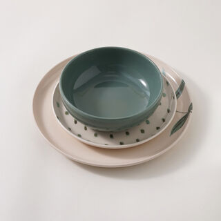 Oxford porcelain dinner set of 12 pcs, tree pattern