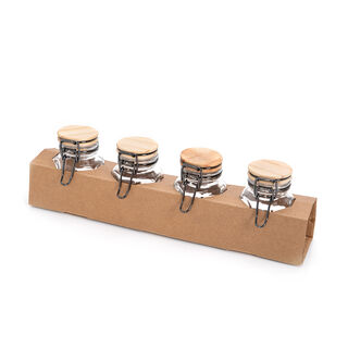 Alberto 4 Pieces Glass Mini Spice Jars With Wooden Clip Lid