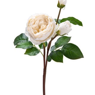 Artificial Flower Rose White H:62Cm