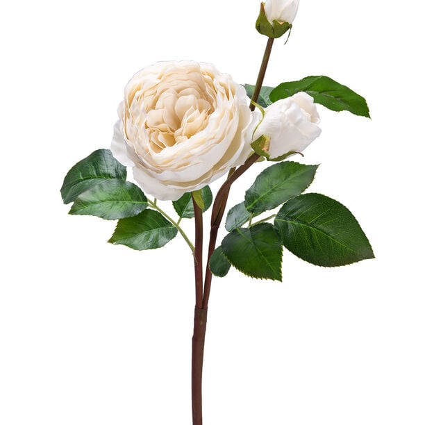 Artificial Flower Rose White H:62Cm image number 0
