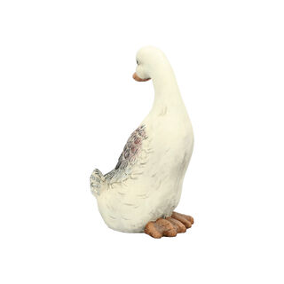Mgo Duck