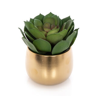 Ceramic Artificial Plant Lotus Succulent In Pot Gold