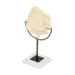 Home Accent Coral image number 2