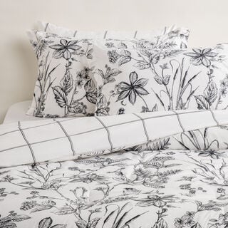 Boutique Blanche Microfibre Sketch Floral 6Pc Comforter Set Queen/Full 200*240Cm