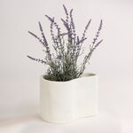 Homez off white resin plant pot 26.5*20*17.8 cm image number 3
