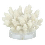 Home Accent Resin Coral With Acrylic Base 14.2*13*11 cm image number 0