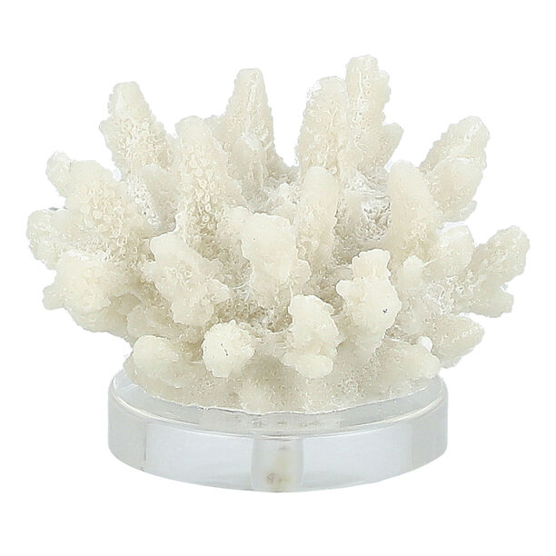Home Accent Resin Coral With Acrylic Base 14.2*13*11 cm image number 0