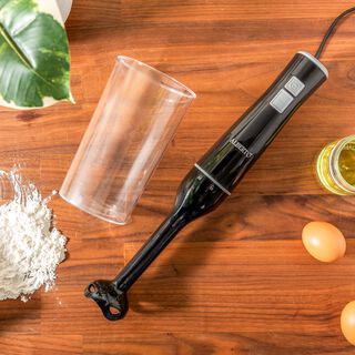 Hand Blender plastic body 170W 2 speeds with pulse