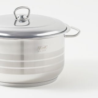 Mister Cook Single Stainless Steel Pot 22Cm, 4.5L
