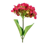 ARTIFICIAL FLOWER SINGLE HYDRANGEA BEAUTY image number 1