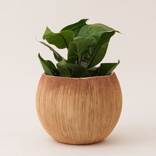 حامل شموع خزفي 20.7 * 20.7 * 16.8 سم